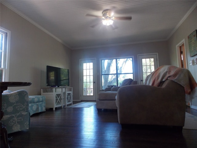 living room with ceiling fan, dark wood-type flooring, and crown molding