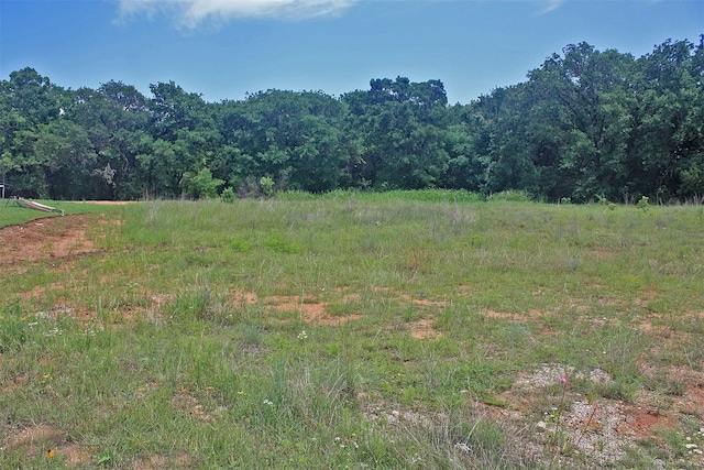 Listing photo 3 for LOT37 Paloma Ct, Glen Rose TX 76043