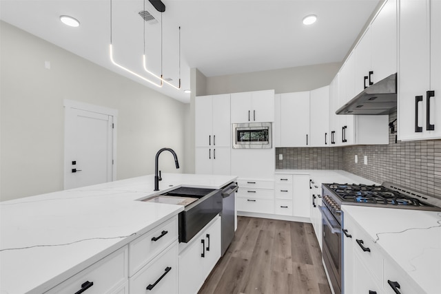 kitchen with white cabinetry, light hardwood / wood-style flooring, light stone countertops, appliances with stainless steel finishes, and pendant lighting