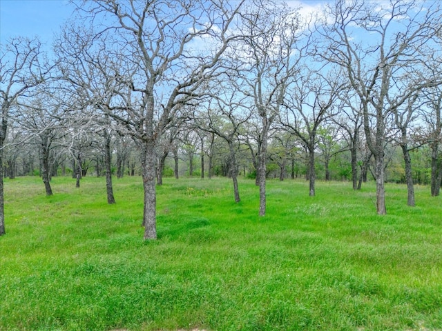 Listing photo 3 for LOT29 Vaquero Dr, Weatherford TX 76088