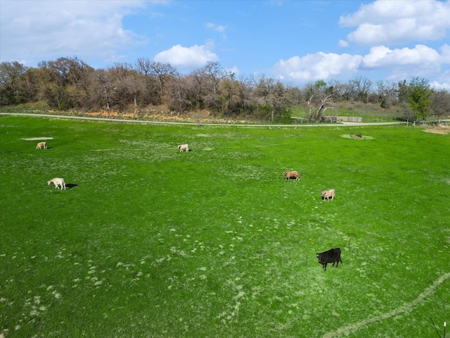 view of yard with a rural view