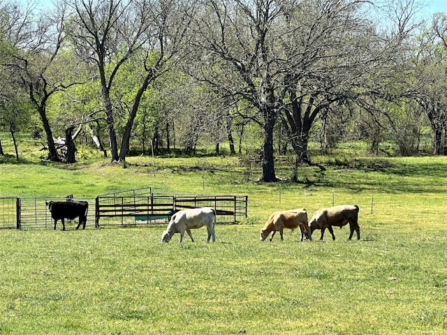 surrounding community with a lawn and a rural view