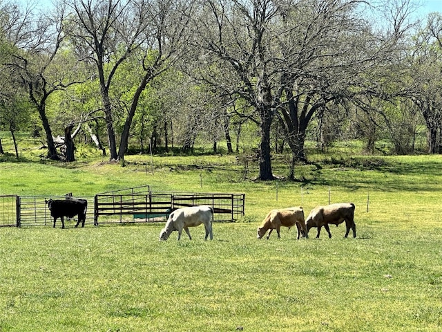 view of community featuring a lawn and a rural view