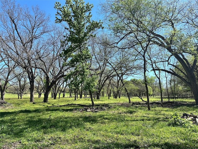 view of landscape