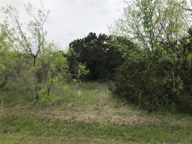 43174 Wisteria Dr, Whitney TX, 76692 land for sale