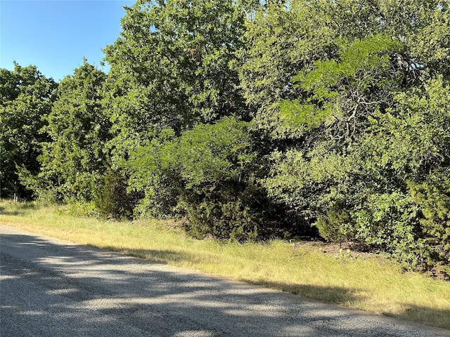 23090 Westmeadow Dr, Whitney TX, 76692 land for sale