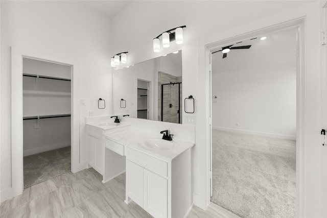 bathroom with vanity and walk in shower