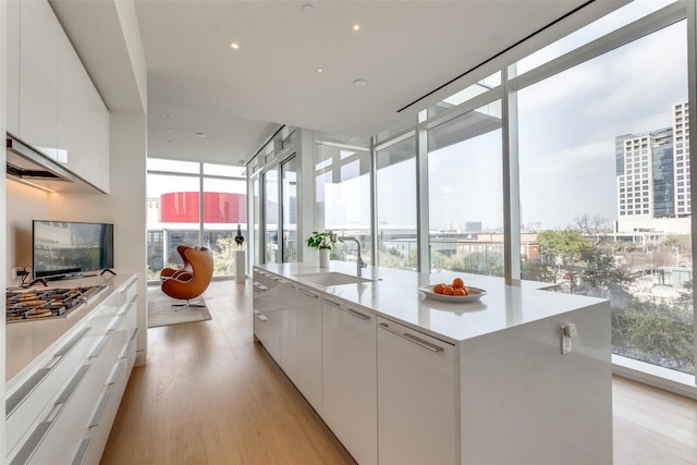 kitchen with light hardwood / wood-style floors, floor to ceiling windows, white cabinetry, a center island, and sink