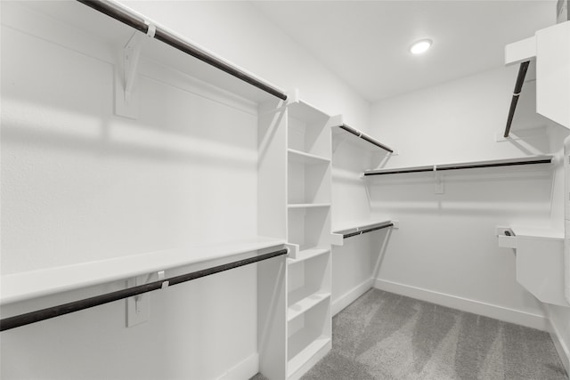 spacious closet with carpet flooring