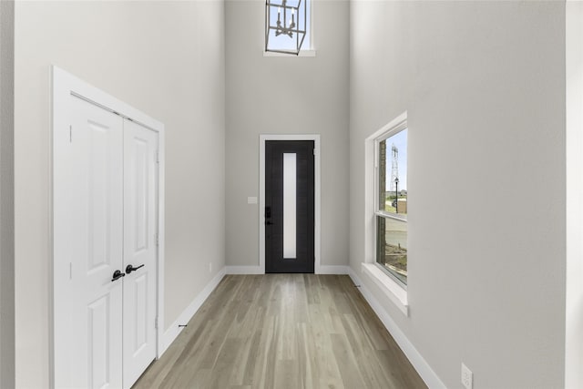 entrance foyer with light hardwood / wood-style flooring, a high ceiling, and a healthy amount of sunlight