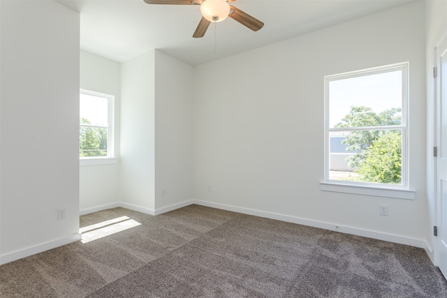 bathroom featuring hardwood / wood-style flooring and vanity