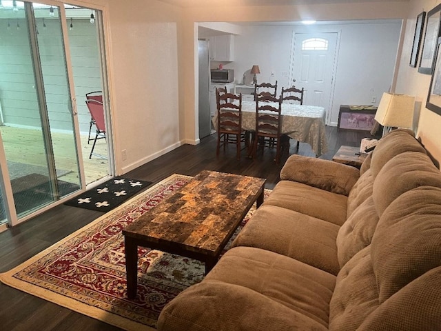 living room with dark hardwood / wood-style floors