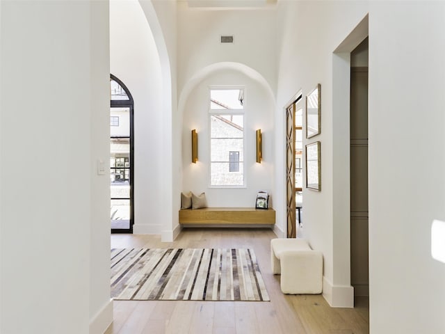 entrance foyer featuring light hardwood / wood-style flooring