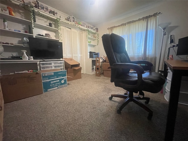 carpeted office with crown molding