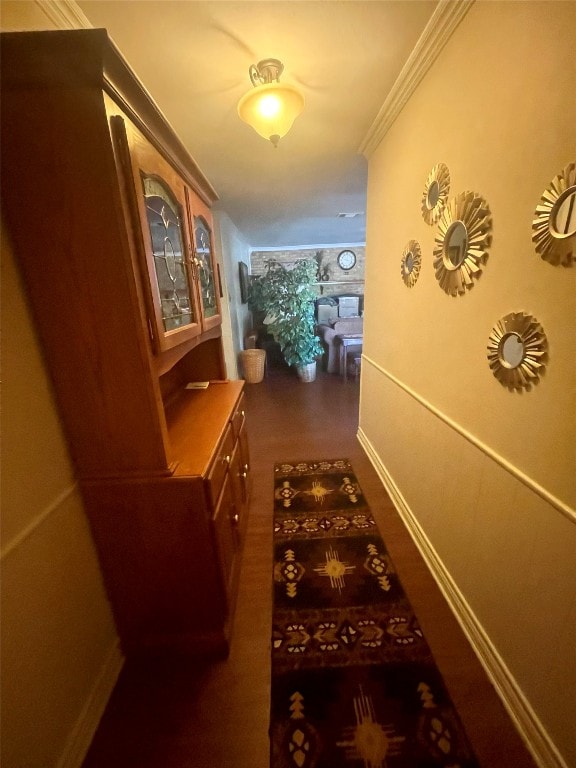 corridor with crown molding and dark hardwood / wood-style flooring