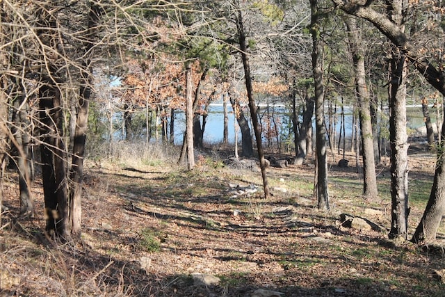 view of local wilderness