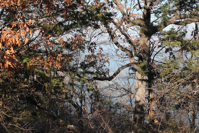 view of mother earth's splendor