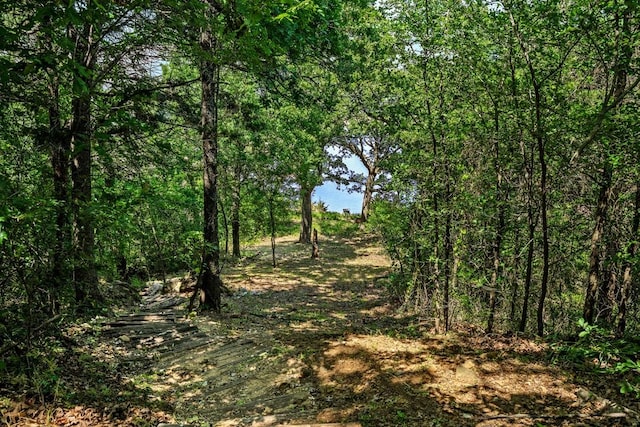 68 Zumwalt Ln, Pottsboro, TX 75076 - view of wooded area