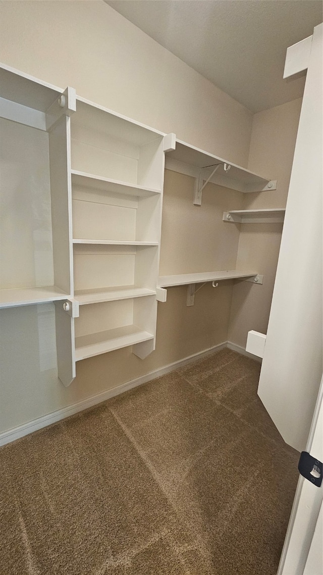 spacious closet featuring dark carpet