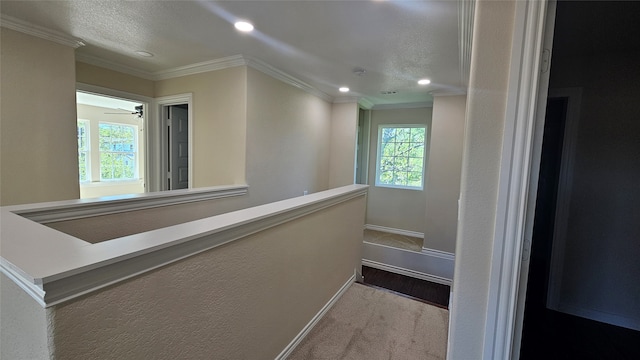 hallway featuring crown molding and carpet flooring