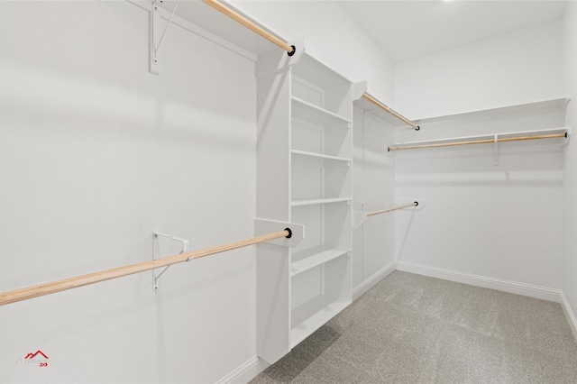 walk in closet with light carpet