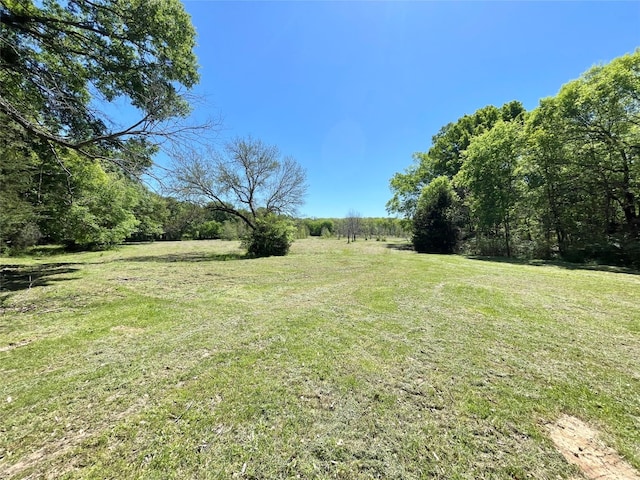 Listing photo 3 for TBD Highway 80, Fruitvale TX 75127