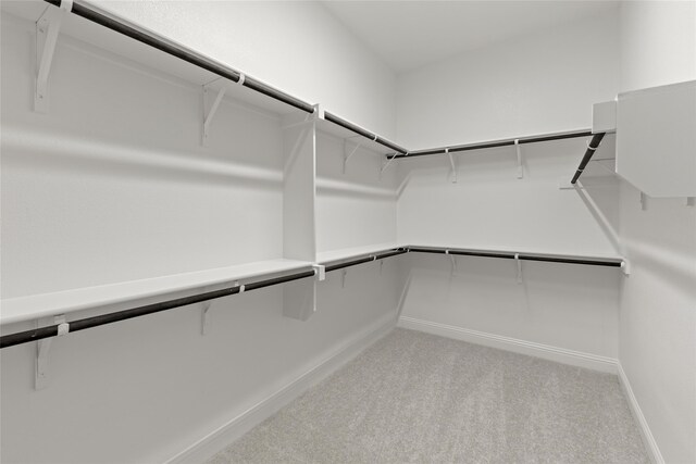 walk in closet with carpet flooring