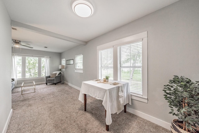 office space featuring ceiling fan, carpet, and a healthy amount of sunlight