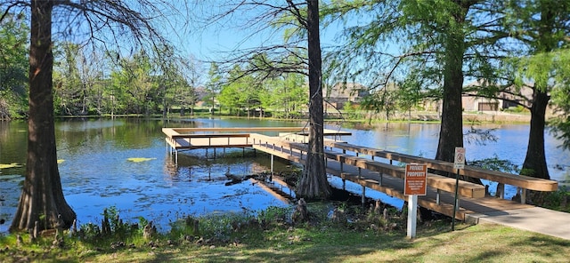 dock area with a water view