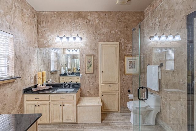 bathroom with an enclosed shower, vanity, and toilet