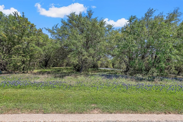 7421 Roxburghe Dr, Cleburne TX, 76033 land for sale