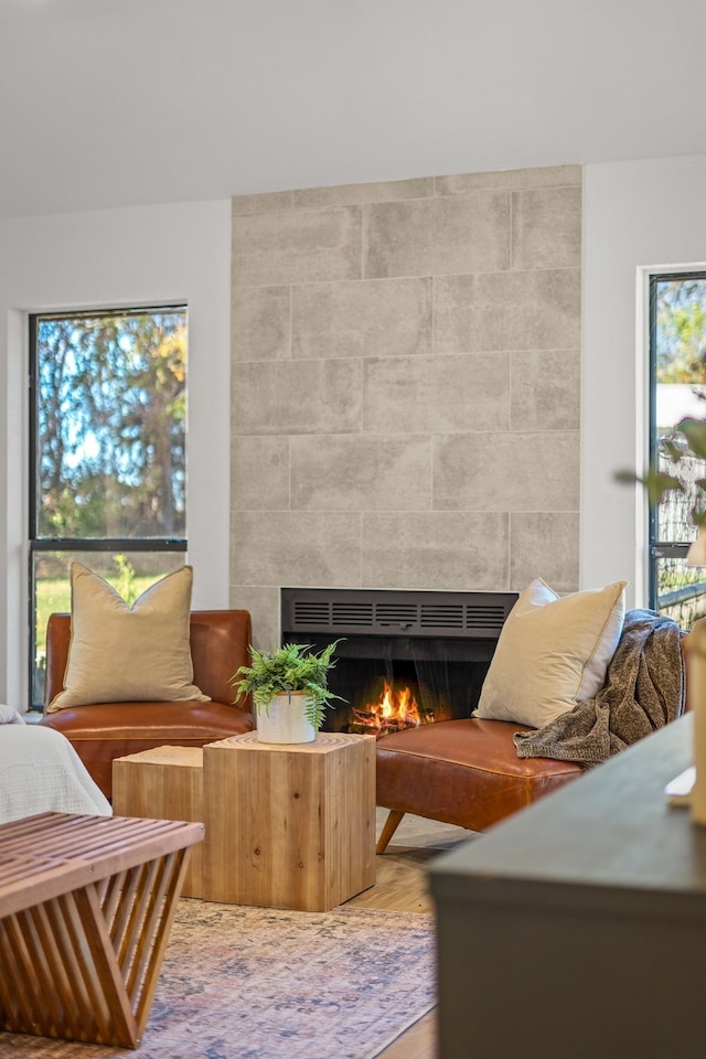 living area featuring a fireplace and wood-type flooring