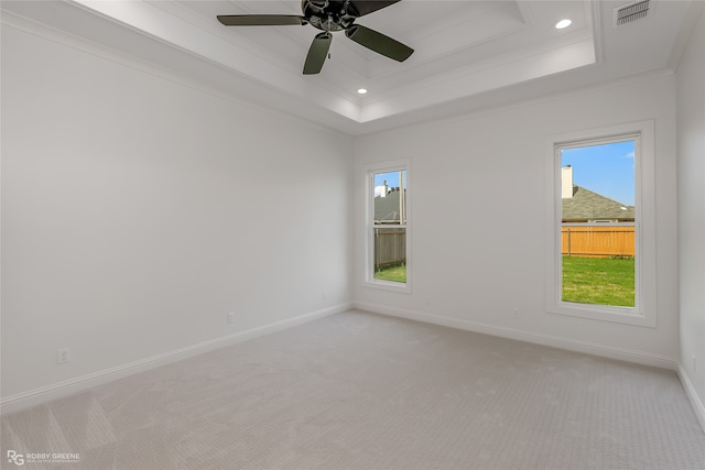 carpeted empty room with a tray ceiling and a healthy amount of sunlight