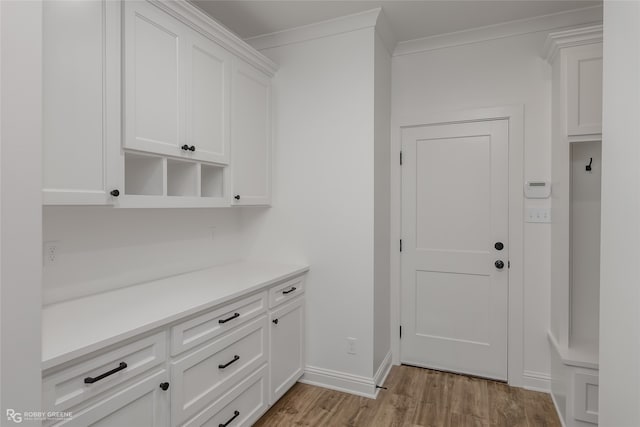 interior space with crown molding and light wood-type flooring