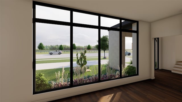 doorway to outside featuring dark hardwood / wood-style flooring