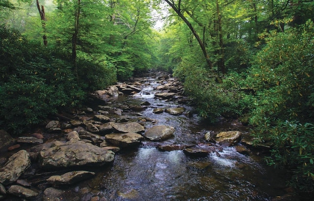 view of local wilderness featuring a wooded view