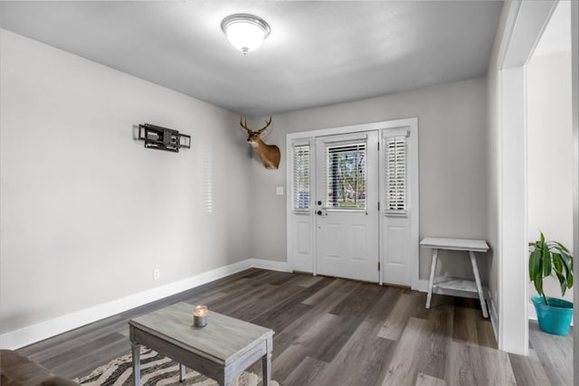 foyer entrance featuring dark wood-type flooring