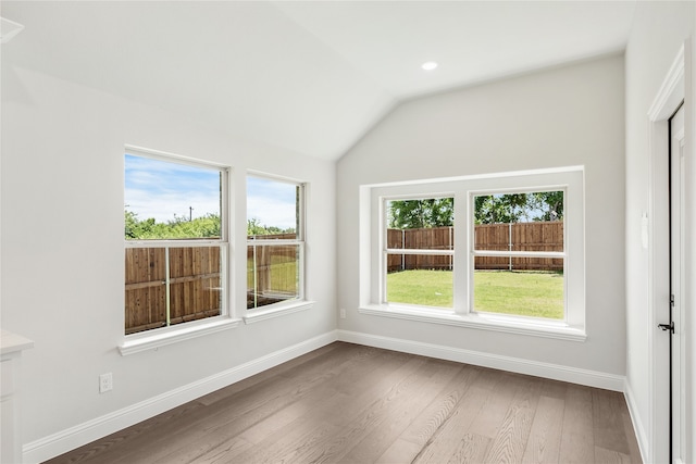 interior space featuring wood-type flooring, vaulted ceiling, and plenty of natural light