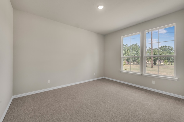 spare room featuring carpet floors