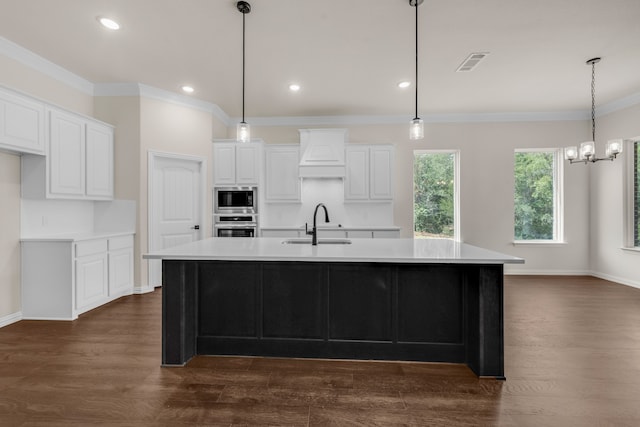 kitchen featuring dark hardwood / wood-style floors, custom exhaust hood, stainless steel appliances, and an island with sink