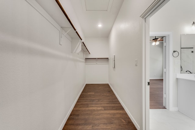 walk in closet featuring ceiling fan and hardwood / wood-style flooring