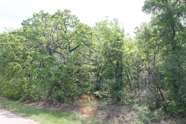 LOT14 Jim Walters Dr, Runaway Bay TX, 76426 land for sale