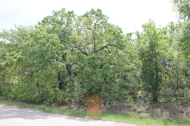 Listing photo 2 for LOT14 Jim Walters Dr, Runaway Bay TX 76426