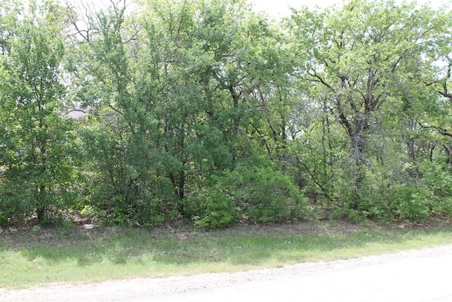 Listing photo 3 for LOT14 Jim Walters Dr, Runaway Bay TX 76426