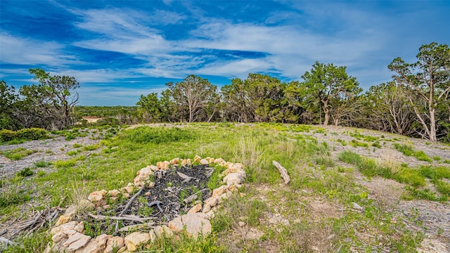 Listing photo 3 for 2723 Wind Point Ct, Tolar TX 76476