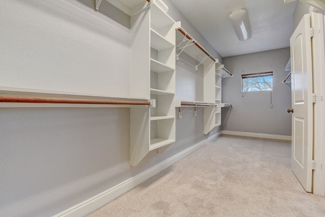 walk in closet with light carpet