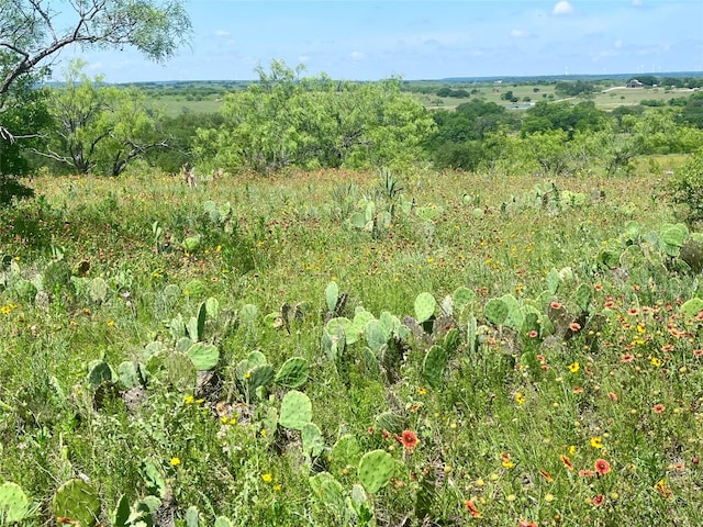 Listing photo 2 for LOT59 Comanche Lake Rd, Comanche TX 76442