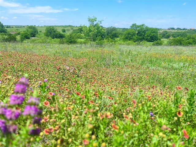 LOT69 Greenwood Rd, Comanche TX, 76442 land for sale