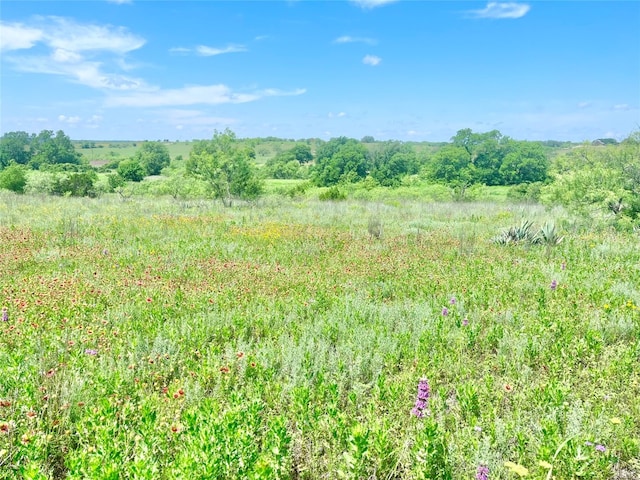 Listing photo 2 for LOT69 Greenwood Rd, Comanche TX 76442