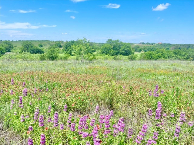 Listing photo 3 for LOT69 Greenwood Rd, Comanche TX 76442